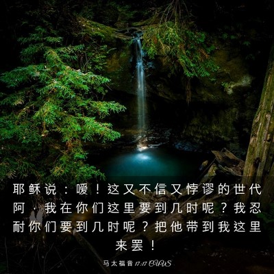 Picture 03 - 马 太 福 音 17:17 CUVS - 耶 稣 说 ： 嗳 ！ 这 又 不 信 又 悖 - Bible Verse Picture