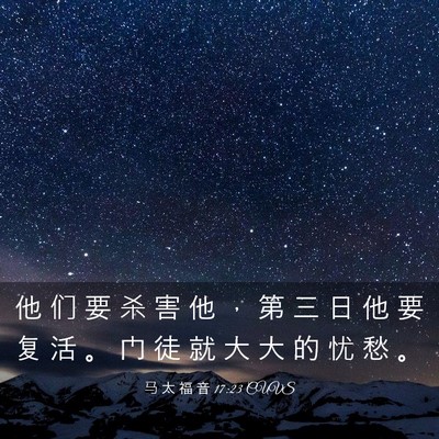 Picture 03 - 马 太 福 音 17:23 CUVS - 他 们 要 杀 害 他 ， 第 三 日 他 要 - Bible Verse Picture