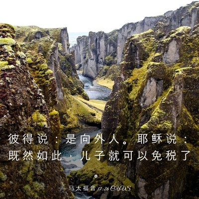 Picture 03 - 马 太 福 音 17:26 CUVS - 彼 得 说 ： 是 向 外 人 。 耶 稣 说 - Bible Verse Picture