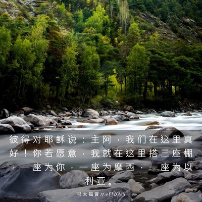 Picture 03 - 马 太 福 音 17:4 CUVS - 彼 得 对 耶 稣 说 ： 主 阿 ， 我 们 - Bible Verse Picture