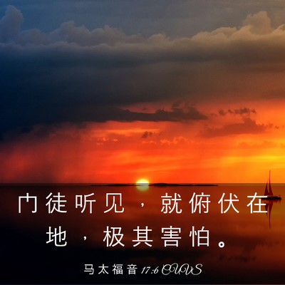 Picture 03 - 马 太 福 音 17:6 CUVS - 门 徒 听 见 ， 就 俯 伏 在 地 ， 极 - Bible Verse Picture