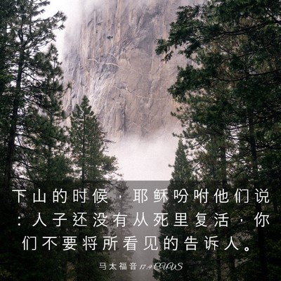 Picture 03 - 马 太 福 音 17:9 CUVS - 下 山 的 时 候 ， 耶 稣 吩 咐 他 们 - Bible Verse Picture