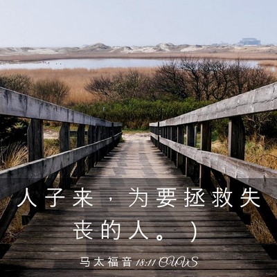 Picture 03 - 马 太 福 音 18:11 CUVS - 人 子 来 ， 为 要 拯 救 失 丧 的 人 - Bible Verse Picture