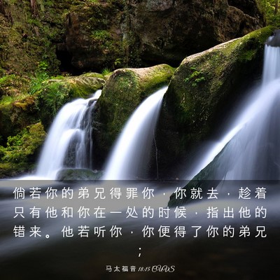 Picture 03 - 马 太 福 音 18:15 CUVS - 倘 若 你 的 弟 兄 得 罪 你 ， 你 就 - Bible Verse Picture