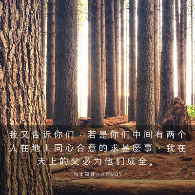 Picture 03 - 马 太 福 音 18:19 CUVS - 我 又 告 诉 你 们 ， 若 是 你 们 中 - Bible Verse Picture