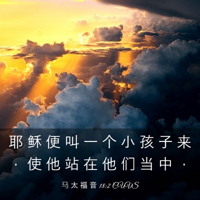 Picture 03 - 马 太 福 音 18:2 CUVS - 耶 稣 便 叫 一 个 小 孩 子 来 ， 使 - Bible Verse Picture