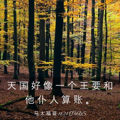 Picture 03 - 马 太 福 音 18:23 CUVS - 天 国 好 像 一 个 王 要 和 他 仆 人 - Bible Verse Picture