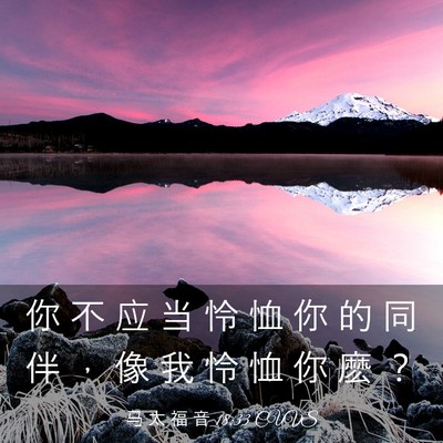 Picture 03 - 马 太 福 音 18:33 CUVS - 你 不 应 当 怜 恤 你 的 同 伴 ， 像 - Bible Verse Picture