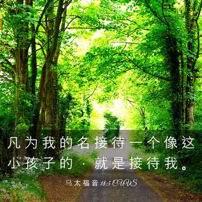 Picture 03 - 马 太 福 音 18:5 CUVS - 凡 为 我 的 名 接 待 一 个 像 这 小 - Bible Verse Picture