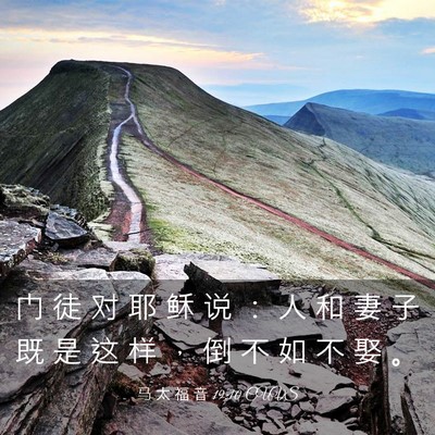 Picture 03 - 马 太 福 音 19:10 CUVS - 门 徒 对 耶 稣 说 ： 人 和 妻 子 既 - Bible Verse Picture