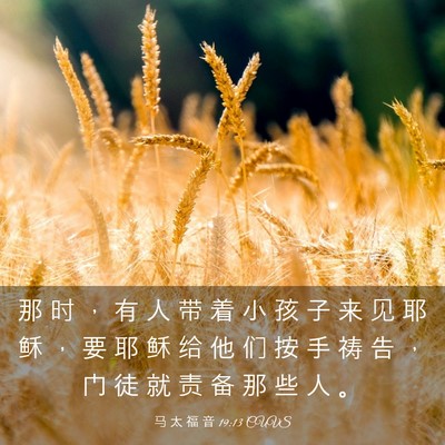 Picture 03 - 马 太 福 音 19:13 CUVS - 那 时 ， 有 人 带 着 小 孩 子 来 见 - Bible Verse Picture