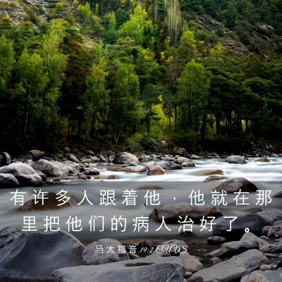 Picture 03 - 马 太 福 音 19:2 CUVS - 有 许 多 人 跟 着 他 ， 他 就 在 那 - Bible Verse Picture