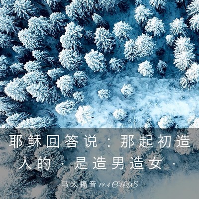 Picture 03 - 马 太 福 音 19:4 CUVS - 耶 稣 回 答 说 ： 那 起 初 造 人 的 - Bible Verse Picture