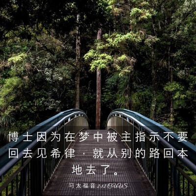 Picture 03 - 马 太 福 音 2:12 CUVS - 博 士 因 为 在 梦 中 被 主 指 示 不 - Bible Verse Picture