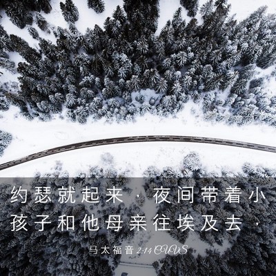 Picture 03 - 马 太 福 音 2:14 CUVS - 约 瑟 就 起 来 ， 夜 间 带 着 小 孩 - Bible Verse Picture