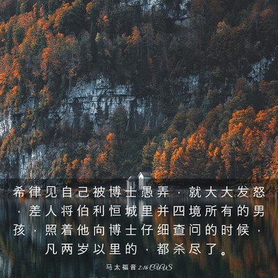 Picture 03 - 马 太 福 音 2:16 CUVS - 希 律 见 自 己 被 博 士 愚 弄 ， 就 - Bible Verse Picture