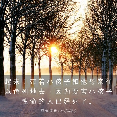 Picture 03 - 马 太 福 音 2:20 CUVS - 起 来 ！ 带 着 小 孩 子 和 他 母 亲 - Bible Verse Picture