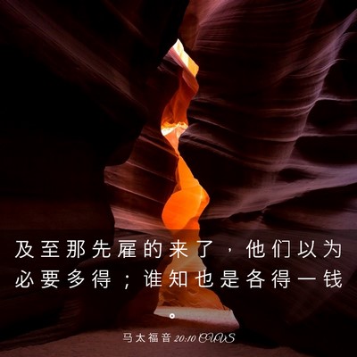 Picture 03 - 马 太 福 音 20:10 CUVS - 及 至 那 先 雇 的 来 了 ， 他 们 以 - Bible Verse Picture