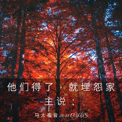 Picture 03 - 马 太 福 音 20:11 CUVS - 他 们 得 了 ， 就 埋 怨 家 主 说 - Bible Verse Picture