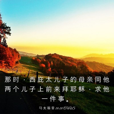 Picture 03 - 马 太 福 音 20:20 CUVS - 那 时 ， 西 庇 太 儿 子 的 母 亲 同 - Bible Verse Picture