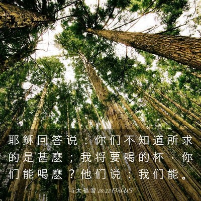 Picture 03 - 马 太 福 音 20:22 CUVS - 耶 稣 回 答 说 ： 你 们 不 知 道 所 - Bible Verse Picture
