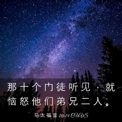 Picture 03 - 马 太 福 音 20:24 CUVS - 那 十 个 门 徒 听 见 ， 就 恼 怒 他 - Bible Verse Picture