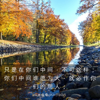 Picture 03 - 马 太 福 音 20:26 CUVS - 只 是 在 你 们 中 间 ， 不 可 这 样 - Bible Verse Picture
