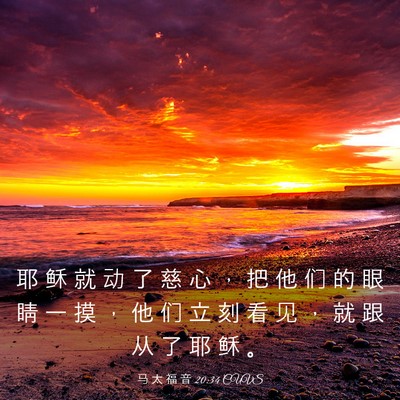 Picture 03 - 马 太 福 音 20:34 CUVS - 耶 稣 就 动 了 慈 心 ， 把 他 们 的 - Bible Verse Picture