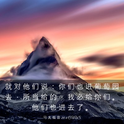 Picture 03 - 马 太 福 音 20:4 CUVS - 就 对 他 们 说 ： 你 们 也 进 葡 萄 - Bible Verse Picture