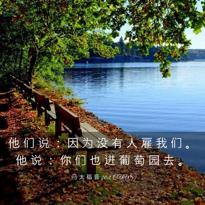 Picture 03 - 马 太 福 音 20:7 CUVS - 他 们 说 ： 因 为 没 有 人 雇 我 们 - Bible Verse Picture