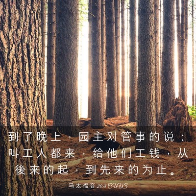 Picture 03 - 马 太 福 音 20:8 CUVS - 到 了 晚 上 ， 园 主 对 管 事 的 说 - Bible Verse Picture