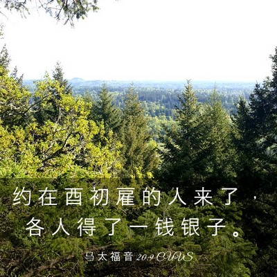Picture 03 - 马 太 福 音 20:9 CUVS - 约 在 酉 初 雇 的 人 来 了 ， 各 人 - Bible Verse Picture