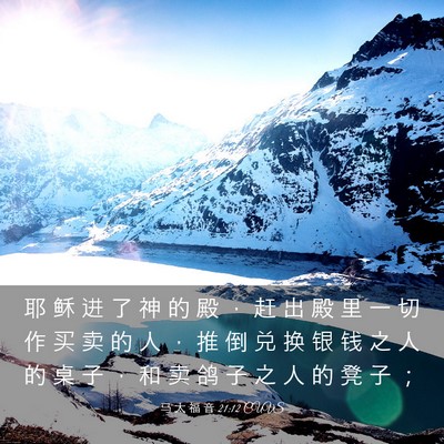 Picture 03 - 马 太 福 音 21:12 CUVS - 耶 稣 进 了 神 的 殿 ， 赶 出 殿 里 - Bible Verse Picture