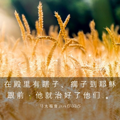 Picture 03 - 马 太 福 音 21:14 CUVS - 在 殿 里 有 瞎 子 、 瘸 子 到 耶 稣 - Bible Verse Picture