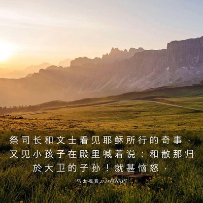 Picture 03 - 马 太 福 音 21:15 CUVS - 祭 司 长 和 文 士 看 见 耶 稣 所 行 - Bible Verse Picture