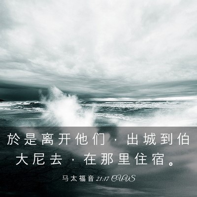 Picture 03 - 马 太 福 音 21:17 CUVS - 於 是 离 开 他 们 ， 出 城 到 伯 大 - Bible Verse Picture