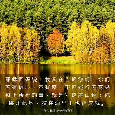 Picture 03 - 马 太 福 音 21:21 CUVS - 耶 稣 回 答 说 ： 我 实 在 告 诉 你 - Bible Verse Picture