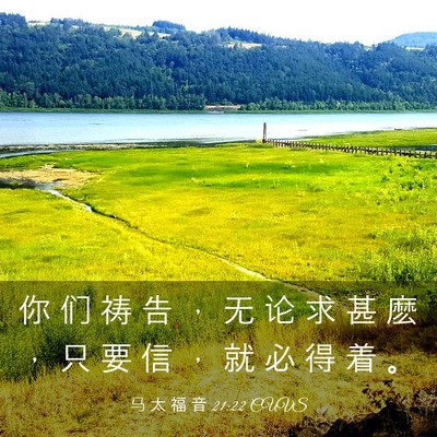 Picture 03 - 马 太 福 音 21:22 CUVS - 你 们 祷 告 ， 无 论 求 甚 麽 ， 只 - Bible Verse Picture