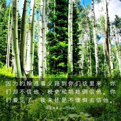 Picture 03 - 马 太 福 音 21:32 CUVS - 因 为 约 翰 遵 着 义 路 到 你 们 这 - Bible Verse Picture