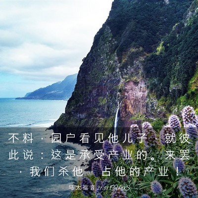 Picture 03 - 马 太 福 音 21:38 CUVS - 不 料 ， 园 户 看 见 他 儿 子 ， 就 - Bible Verse Picture