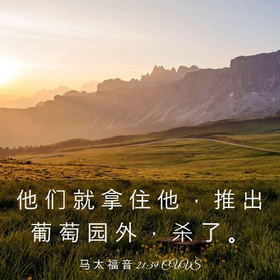 Picture 03 - 马 太 福 音 21:39 CUVS - 他 们 就 拿 住 他 ， 推 出 葡 萄 园 - Bible Verse Picture