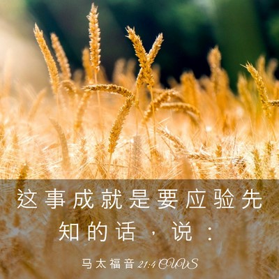 Picture 03 - 马 太 福 音 21:4 CUVS - 这 事 成 就 是 要 应 验 先 知 的 话 - Bible Verse Picture