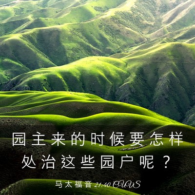 Picture 03 - 马 太 福 音 21:40 CUVS - 园 主 来 的 时 候 要 怎 样 处 治 这 - Bible Verse Picture
