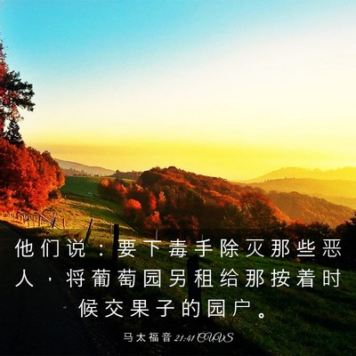 Picture 03 - 马 太 福 音 21:41 CUVS - 他 们 说 ： 要 下 毒 手 除 灭 那 些 - Bible Verse Picture