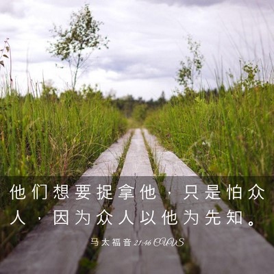 Picture 03 - 马 太 福 音 21:46 CUVS - 他 们 想 要 捉 拿 他 ， 只 是 怕 众 - Bible Verse Picture