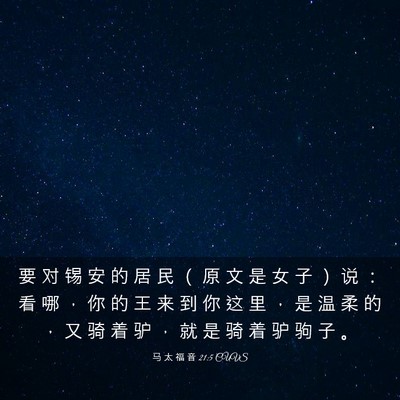 Picture 03 - 马 太 福 音 21:5 CUVS - 要 对 锡 安 的 居 民 （ 原 文 是 女 - Bible Verse Picture