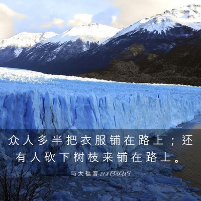 Picture 03 - 马 太 福 音 21:8 CUVS - 众 人 多 半 把 衣 服 铺 在 路 上 ； - Bible Verse Picture