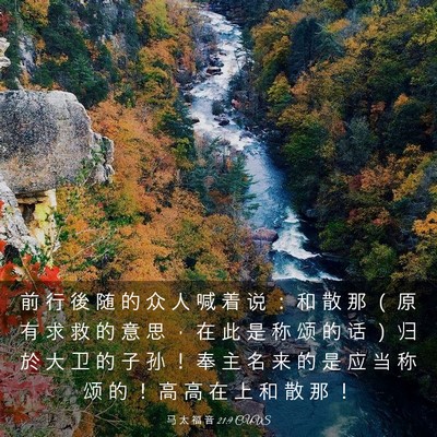 Picture 03 - 马 太 福 音 21:9 CUVS - 前 行 後 随 的 众 人 喊 着 说 ： 和 - Bible Verse Picture
