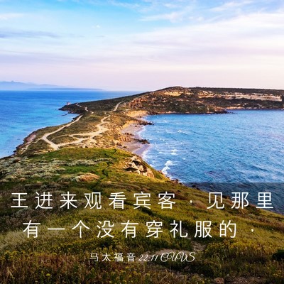 Picture 03 - 马 太 福 音 22:11 CUVS - 王 进 来 观 看 宾 客 ， 见 那 里 有 - Bible Verse Picture