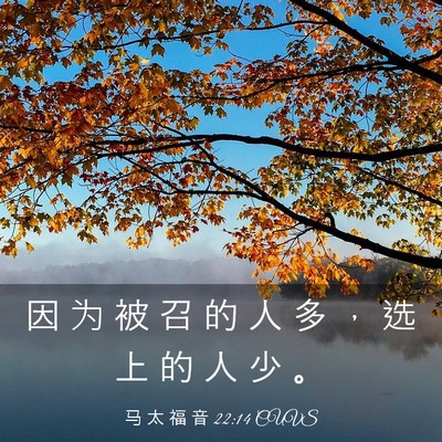 Picture 03 - 马 太 福 音 22:14 CUVS - 因 为 被 召 的 人 多 ， 选 上 的 人 - Bible Verse Picture